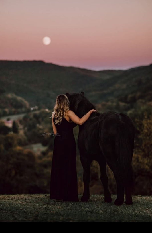 Baumscheibe mit Brandmalerei – Einzigartiges Naturprodukt