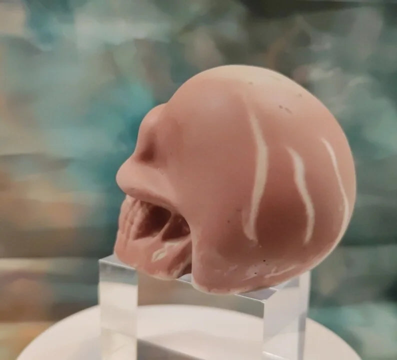 ๐ Decorative skull made of Raysin