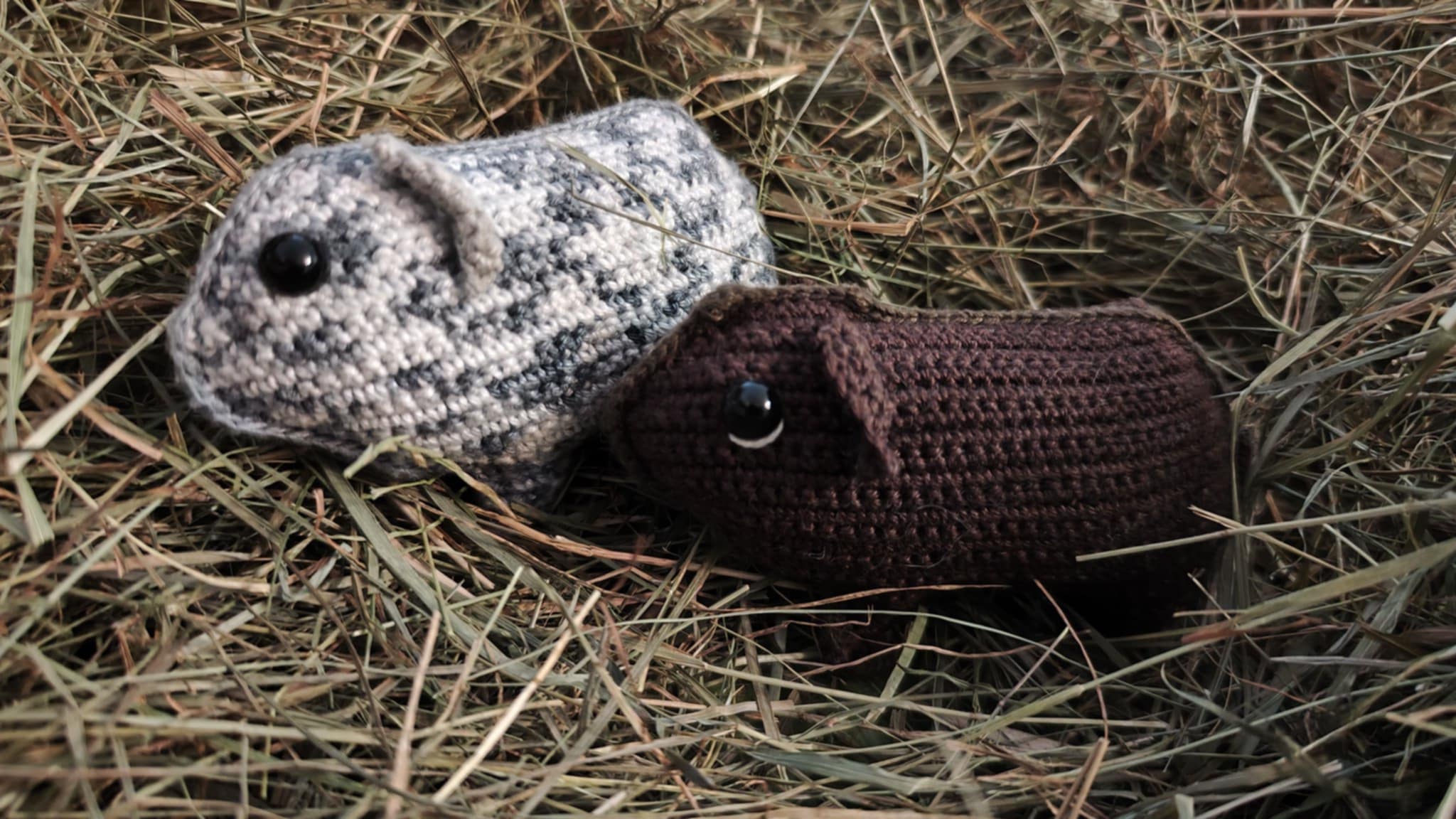 Guinea pig crochet appliqué