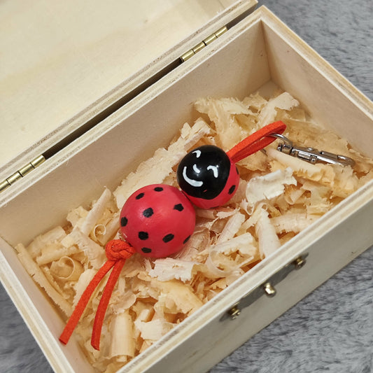 Seelenanker „Glückskäfer" – für alle, denen das Glück einfach zufliegt