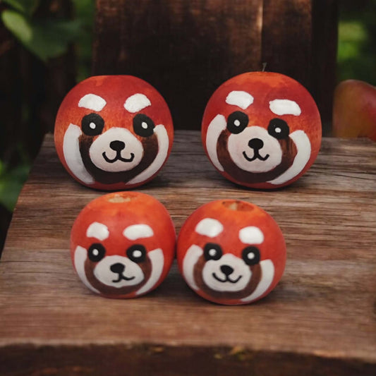 Handbemalte Roter-Panda-Holzköpfchen (2 cm oder 2,5 cm)