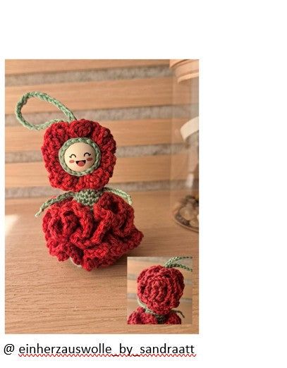 Carnation Worry Worm