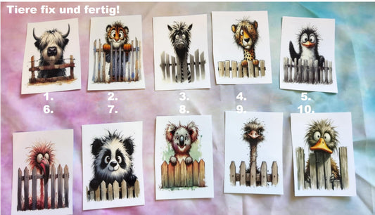 Rub-On Designs – kreative Motive für Glaslieblinge – wähl dein Wunschdesign!