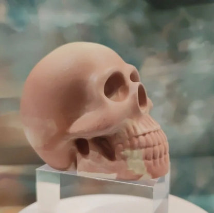 💀 Decorative skull made of Raysin