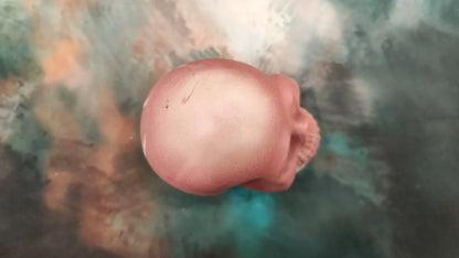 💀 Decorative skull made of Raysin