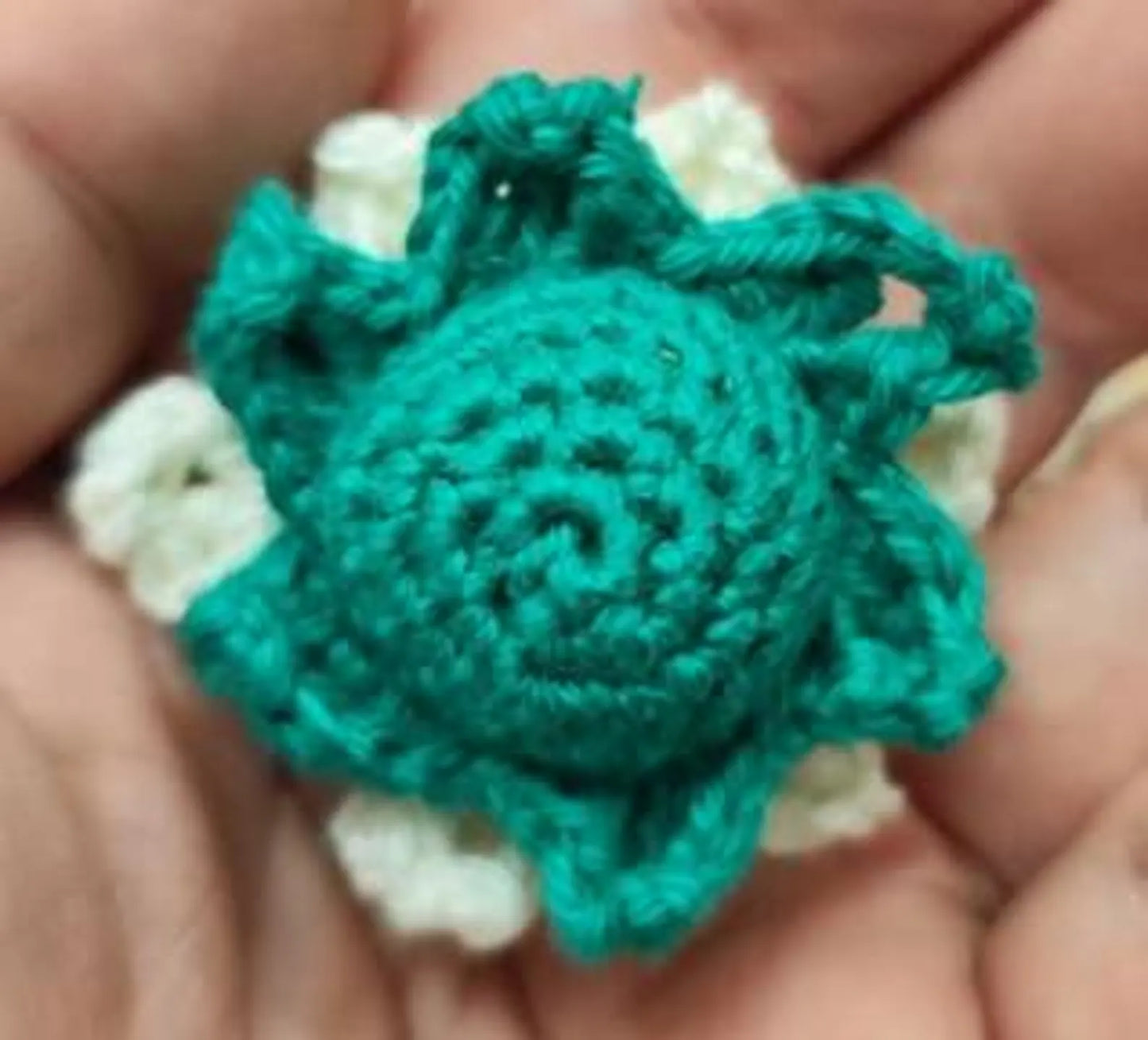 Weihnachtsstern Blumenwürmchen