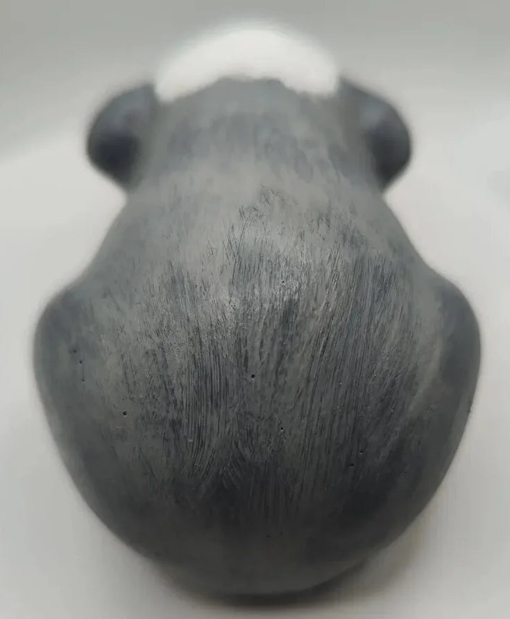 🐹 Dein Meerschweinchen als handbemalte Miniatur-Figur — Epoxidharz / Fehlerchen