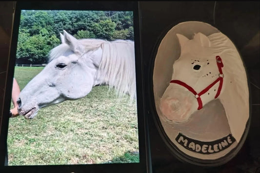 Gruppe A: Ein Kunstwerk für dein Pferd – in Gips oder Harz verewigt