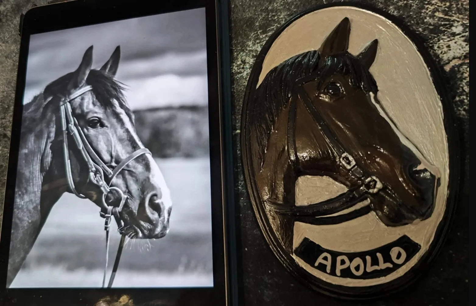 Gruppe B: Ein Kunstwerk für dein Pferd – in Gips oder Harz verewigt — 1 / Raysin bemalt