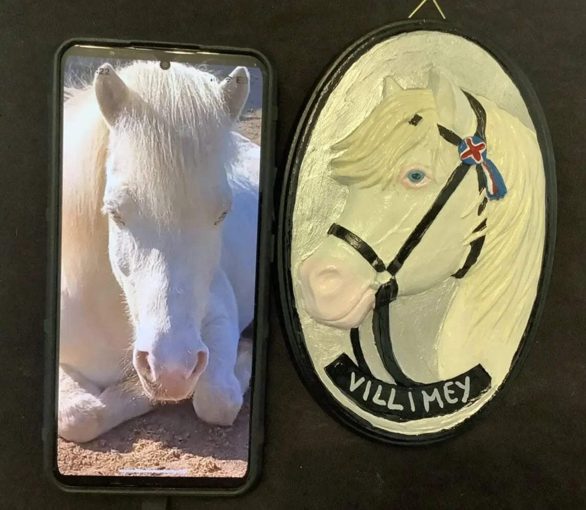 Gruppe B: Ein Kunstwerk für dein Pferd – in Gips oder Harz verewigt — 1 / Raysin bemalt