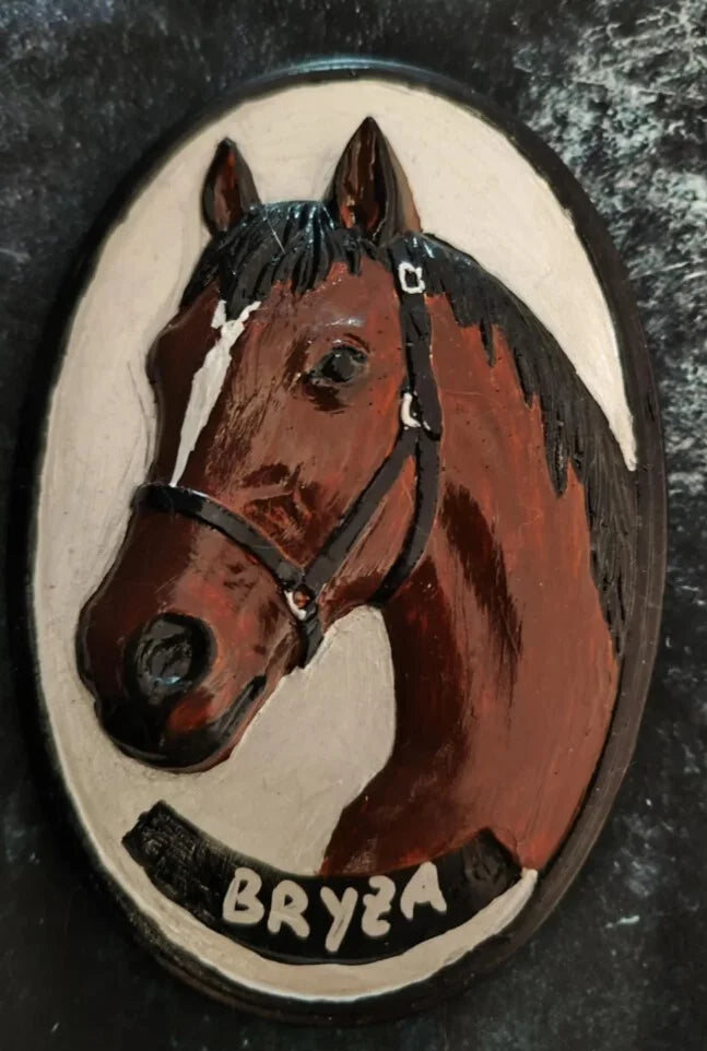 Gruppe B: Ein Kunstwerk für dein Pferd – in Gips oder Harz verewigt — 1 / Raysin bemalt