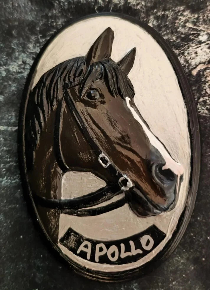 Gruppe B: Ein Kunstwerk für dein Pferd – in Gips oder Harz verewigt — 1 / Raysin bemalt