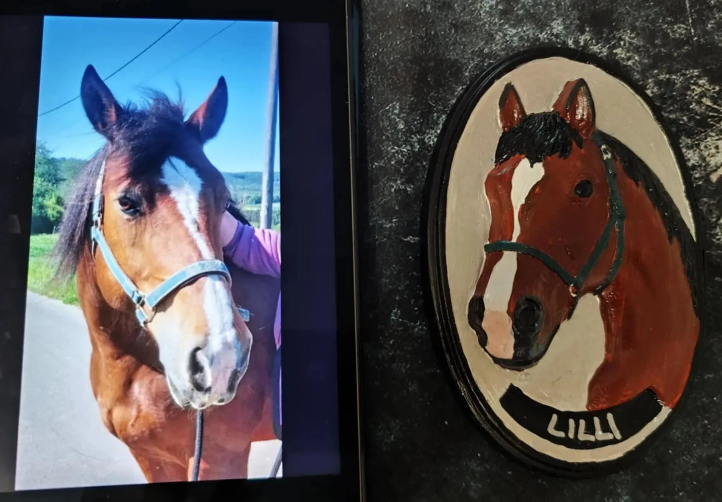 Gruppe B: Ein Kunstwerk für dein Pferd – in Gips oder Harz verewigt — 1 / Raysin bemalt