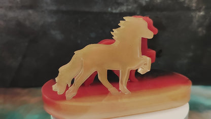 Team Deutschland – Tölter in Schwarz-Rot-Gold