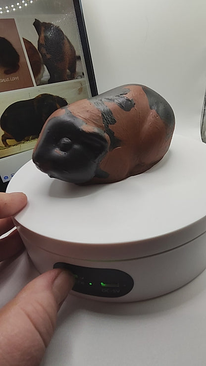 🐹 Dein Meerschweinchen als handbemalte Miniatur-Figur — Epoxidharz / Fehlerchen