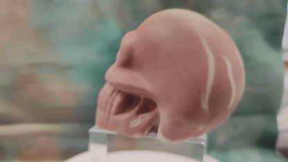 💀 Decorative skull made of Raysin